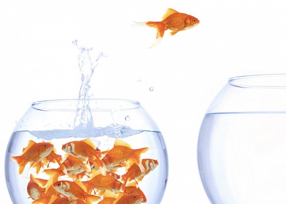 Ten Reasons To Break Free From Excel; It Is Holding Your Business Back